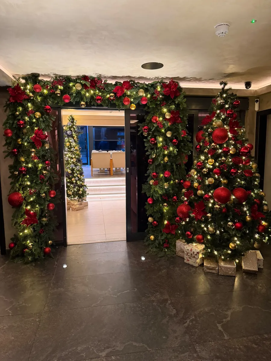 Christmas trees framing the entrance