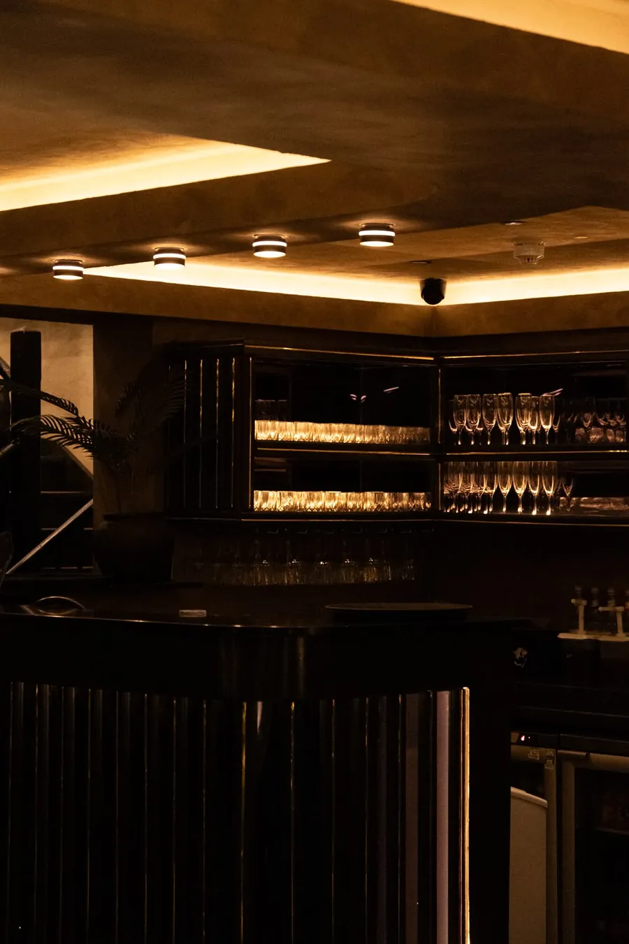 The bar with glowing glassware shelves
